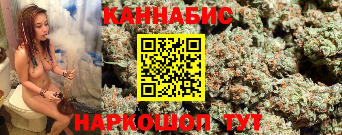 Бошки Шишки план Энгельс